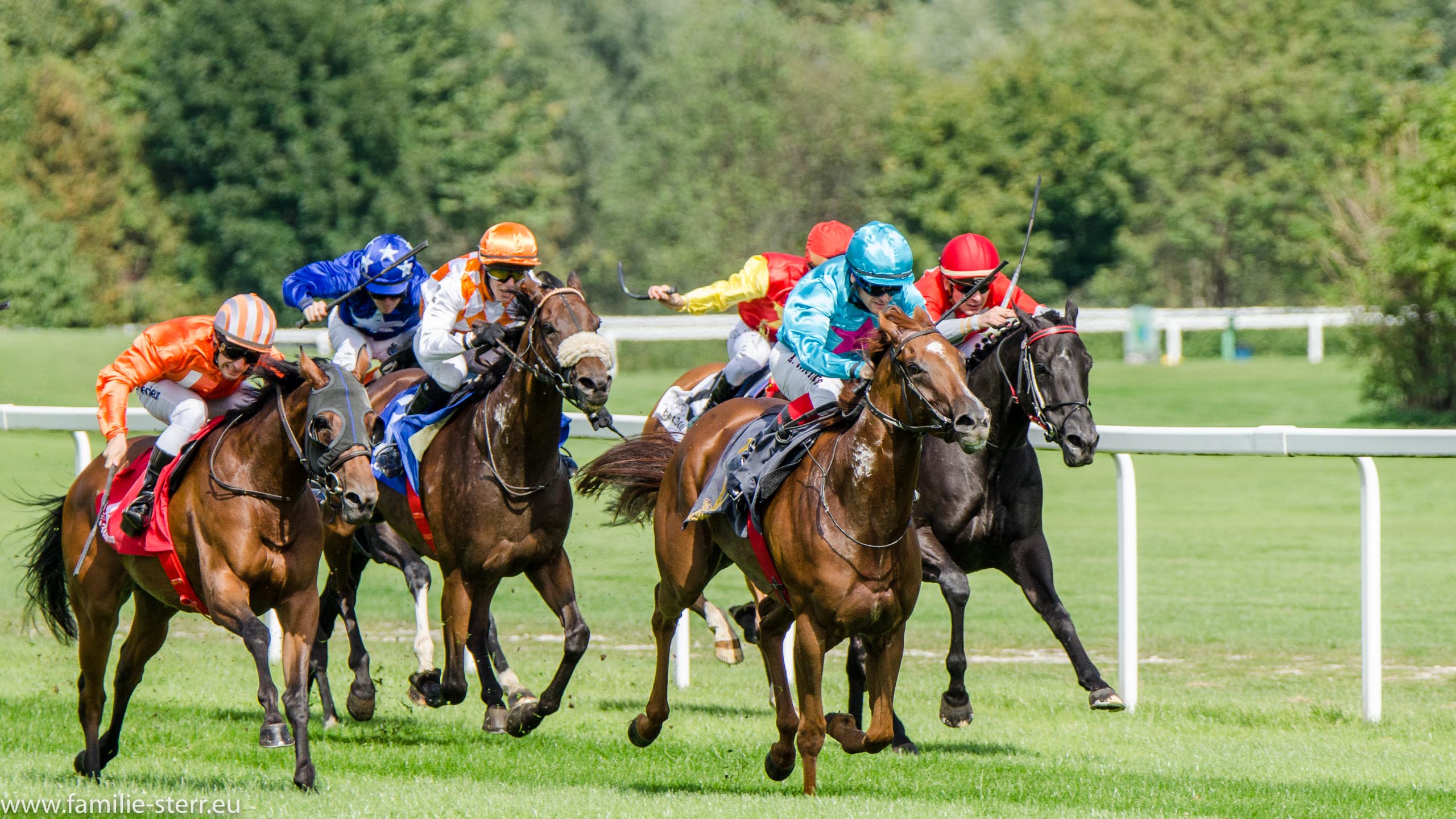 Galopprennen  München September 2015